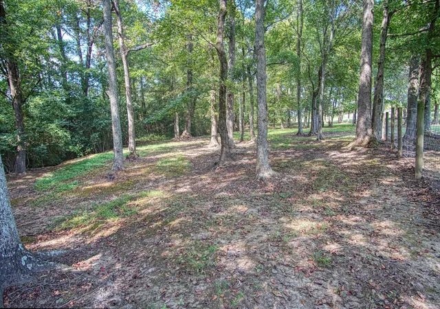 31st image of 179 Patrick Rd, Fayetteville, TN 37334 | MLS# 2996521