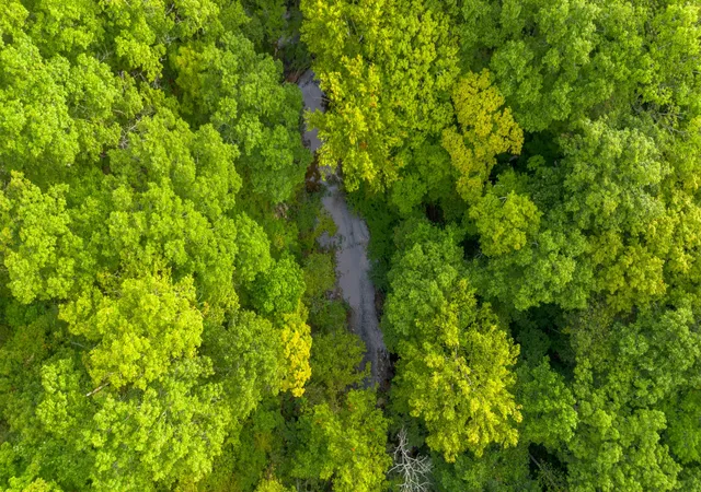 Photo 2 of Land for sale at 1 Ccc Rd, Fairview, TN 37062 | MLS# 3000446 | Listing updated on 2026-09-01