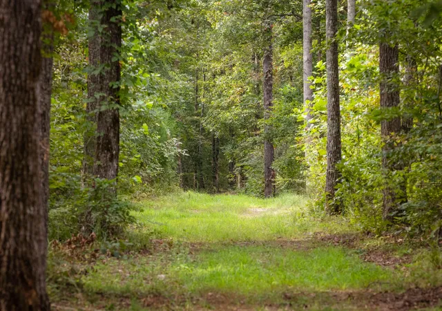 Photo 3 of Land for sale at 1 Ccc Rd, Fairview, TN 37062 | MLS# 3000446 | Listing updated on 2026-09-01