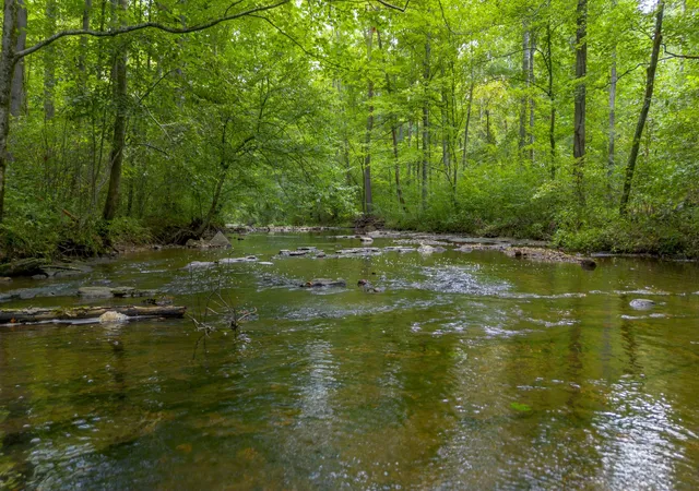 Photo 4 of Land for sale at 1 Ccc Rd, Fairview, TN 37062 | MLS# 3000446 | Listing updated on 2026-09-01