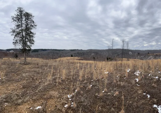 2nd image of 365 Twin Pines Overlook, Lobelville, TN 37097 | MLS# 3515041