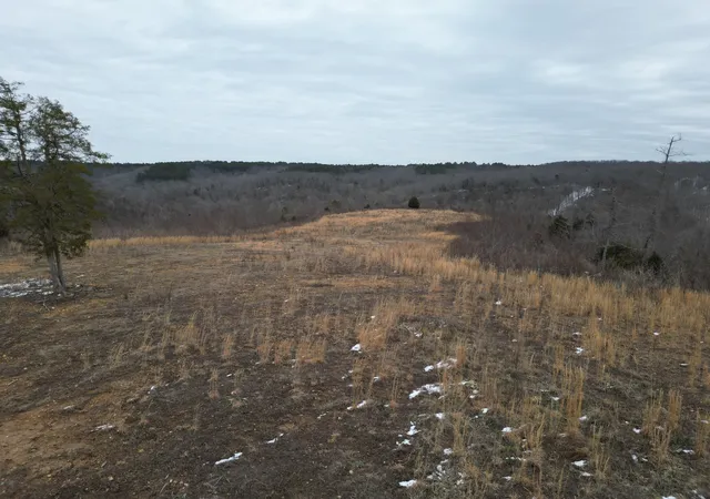 3rd image of 365 Twin Pines Overlook, Lobelville, TN 37097 | MLS# 3515041