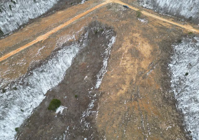 4th image of 365 Twin Pines Overlook, Lobelville, TN 37097 | MLS# 3515041