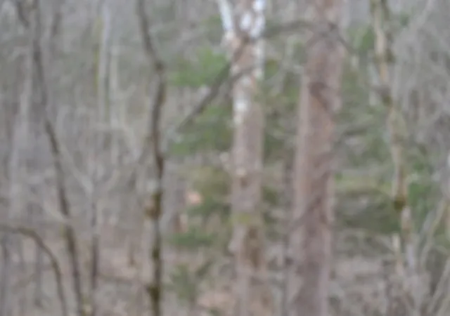 Land for sale at 0 Rock Fish Lane, Hilham, TN 38568 | MLS# 2998744