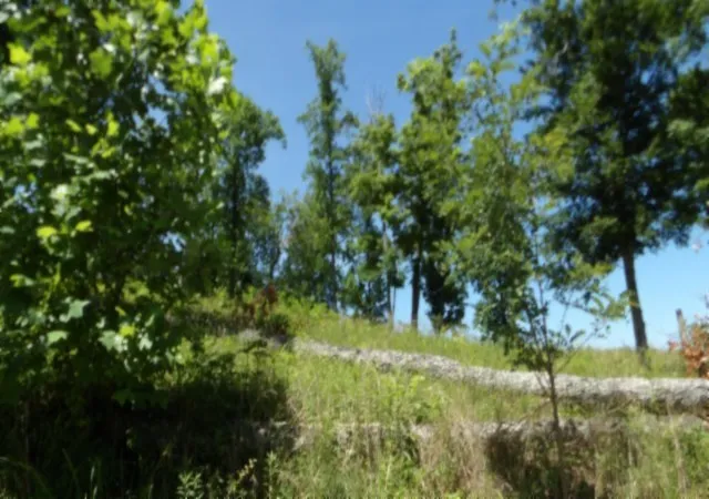 1st image of 0 Rock Fish Lane, Hilham, TN 38568 | MLS# 2998744
