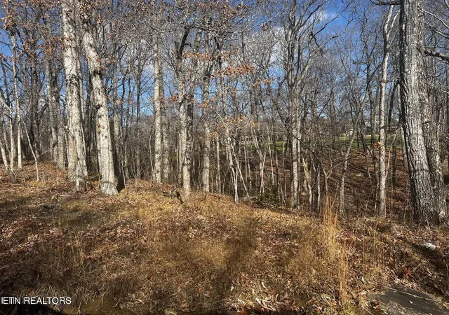 Photo 2 of Land for sale at 130 Baltusrol Rd, Crossville, TN 38558 | MLS# 3000261 | Listing updated on 2026-08-28