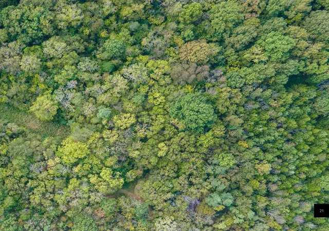 Photo 14 of Land for sale at 0 Wilder Pass, Murfreesboro, TN 37128 | MLS# 3014620 | Listing updated on 2025-12-19