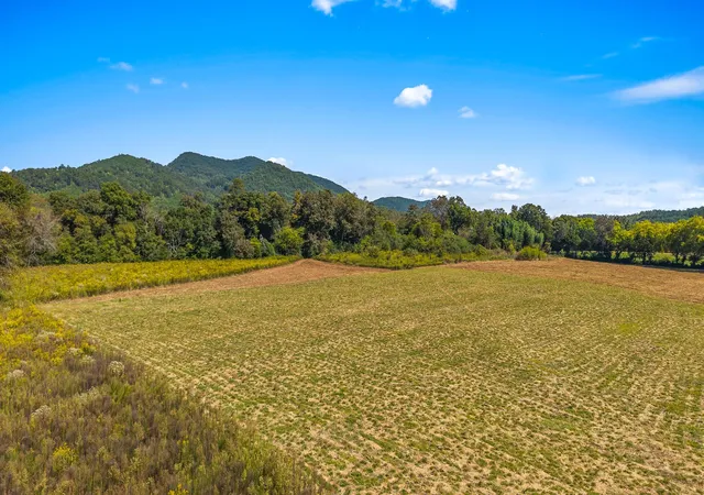 1st image of 0 Tree Top Lane, Tellico Plains, TN 37385 | MLS# 3215145