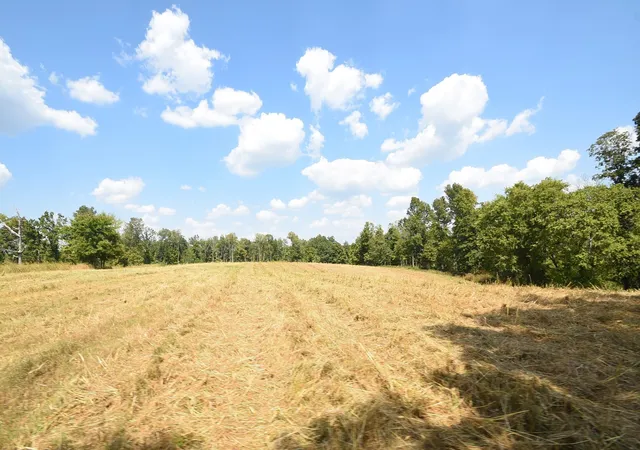 Photo 1 of Land for sale at 0 Moore Hollow Rd S, Indian Mound, TN 37079 | MLS# 3000713 | Listing updated on 2025-09-24