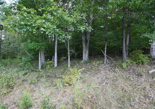 Photo 2 of Land for sale at 0 Moore Hollow Rd S, Indian Mound, TN 37079 | MLS# 3000713 | Listing updated on 2025-09-24