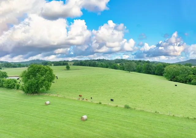 5th image of 7 Deshea Crk Rd, Gallatin, TN 37066 | MLS# 3037259