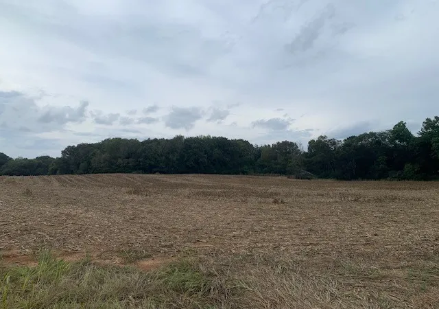 Photo 4 of Land for sale at 0 Dotsonville Road, Clarksville, TN 37042 | MLS# 3001258 | Listing updated on 2026-01-28