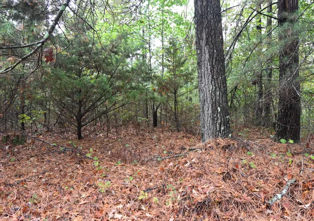 Photo 4 of Sale Pending at 46 Hardison Ln, Linden, TN 37096 | MLS# 3001911 | Listing updated on 2026-08-13