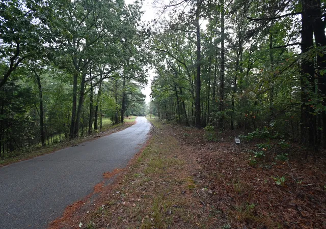 Photo 3 of Land for sale at 62 Hardison Ln, Linden, TN 37096 | MLS# 3001925 | Listing updated on 2026-03-24