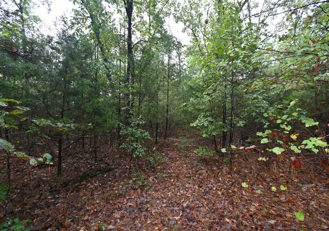 Photo 3 of Land for sale at 62 Hardison Ln, Linden, TN 37096 | MLS# 3001925 | Listing updated on 2026-03-24