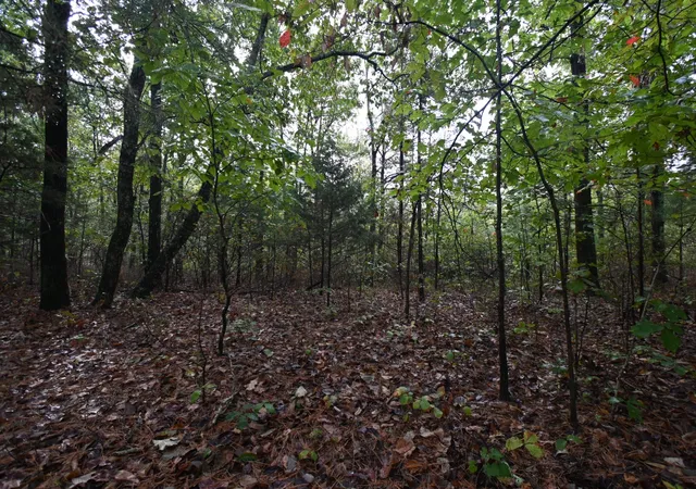 Photo 4 of Land for sale at 62 Hardison Ln, Linden, TN 37096 | MLS# 3001925 | Listing updated on 2026-03-24