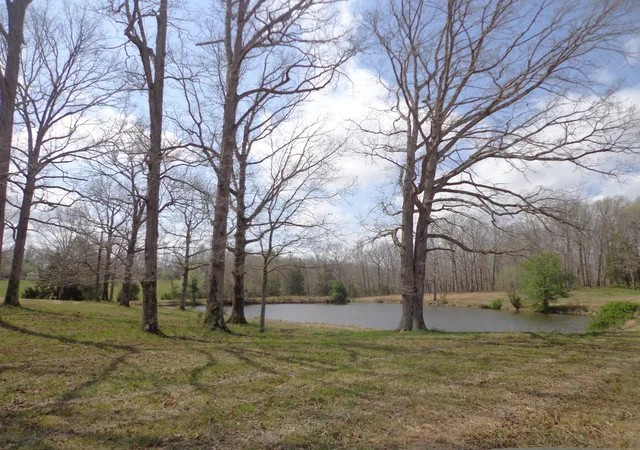Photo 1 of Land for sale at 1551 Tennessee Ridge Rd, Waverly, TN 37185 | MLS# 3001757 | Listing updated on 2026-10-10