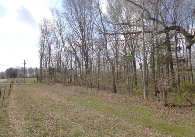 Photo 2 of Land for sale at 1551 Tennessee Ridge Rd, Waverly, TN 37185 | MLS# 3001757 | Listing updated on 2026-10-10
