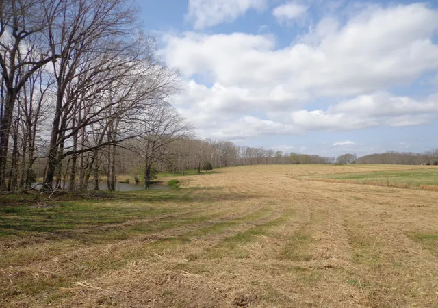 Photo 3 of Land for sale at 1551 Tennessee Ridge Rd, Waverly, TN 37185 | MLS# 3001757 | Listing updated on 2026-10-10