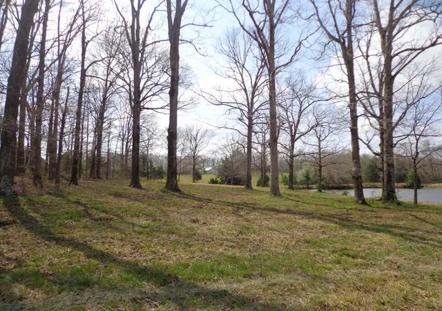 Photo 4 of Land for sale at 1551 Tennessee Ridge Rd, Waverly, TN 37185 | MLS# 3001757 | Listing updated on 2026-10-10