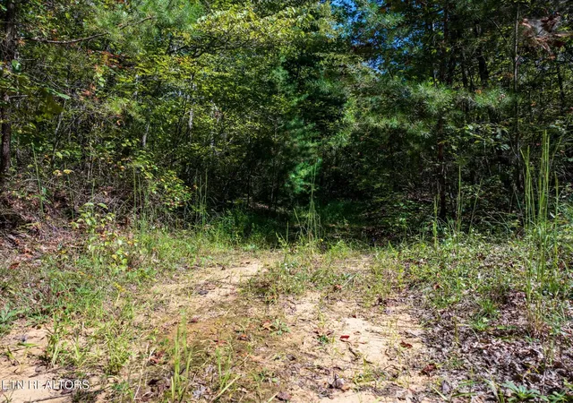 1st image of 0 Tiffany Lane, Jamestown, TN 38556 | MLS# 3002048