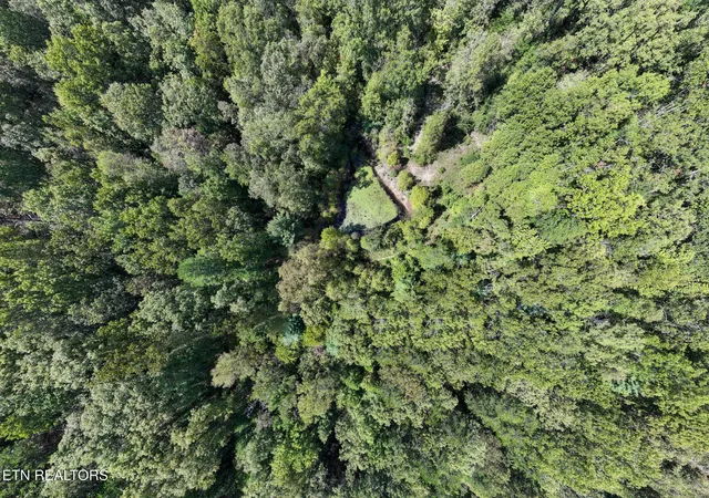 2nd image of 0 Tiffany Lane, Jamestown, TN 38556 | MLS# 3002048