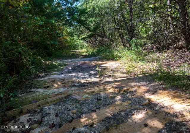 5th image of 0 Tiffany Lane, Jamestown, TN 38556 | MLS# 3002048