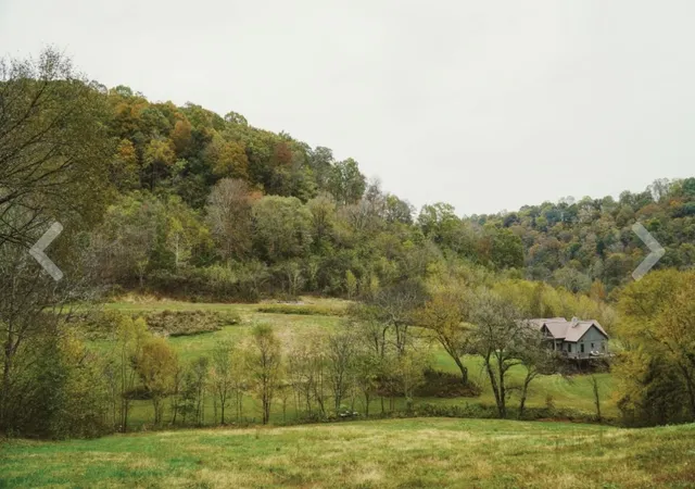 Photo 88 of Land for sale at 317 Little Creek Rd, Pleasant Shade, TN 37145 | MLS# 3002147 | Listing updated on 2025-10-04
