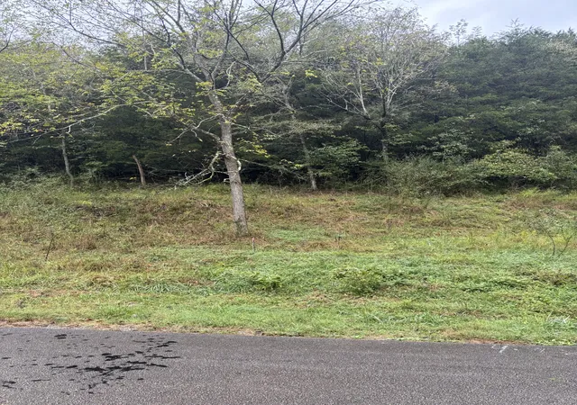 4th image of 0 Gipson Hollow Road, Gainesboro, TN 38562 | MLS# 3002472