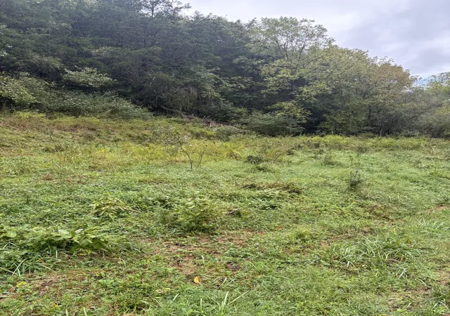 1st image of 0 Gipson Hollow Road, Gainesboro, TN 38562 | MLS# 3002472