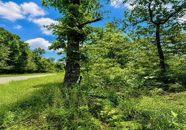 5th image of 135 Old Hickory Dr, Holladay, TN 38341 | MLS# 3002482