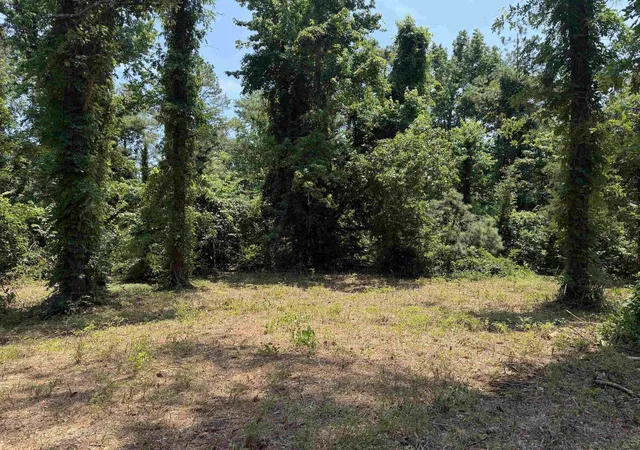 Photo 2 of Land for sale at 0 Highway 57, Michie, TN 38357 | MLS# 3043276 | Listing updated on 2026-08-21