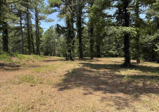 Photo 3 of Land for sale at 0 Highway 57, Michie, TN 38357 | MLS# 3043276 | Listing updated on 2026-08-21