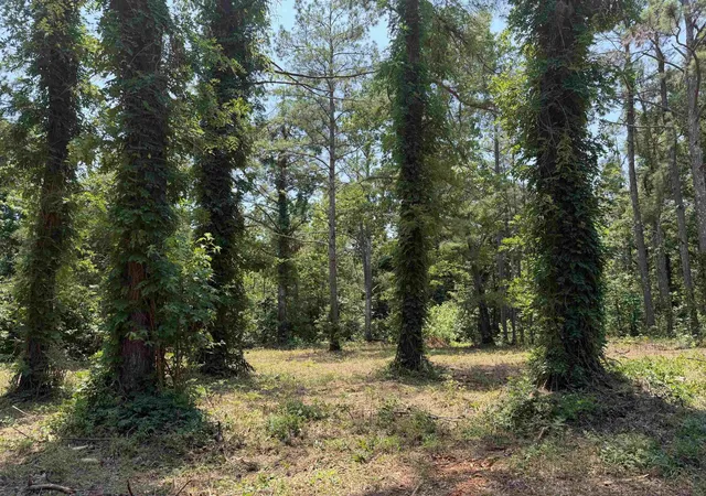 Photo 4 of Land for sale at 0 Highway 57, Michie, TN 38357 | MLS# 3043276 | Listing updated on 2026-08-21