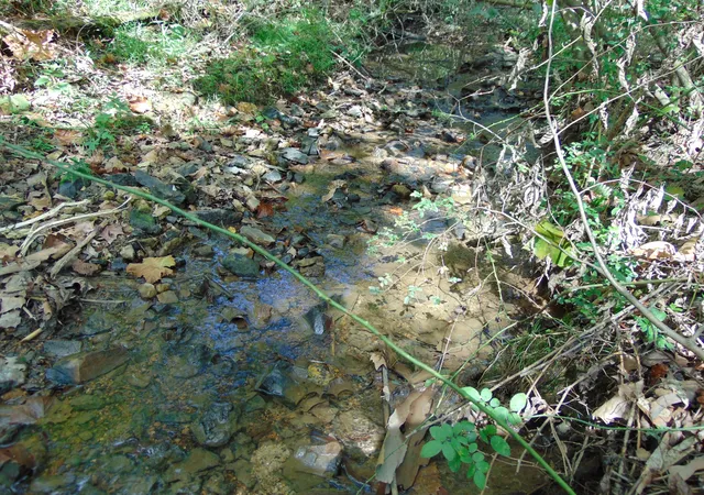 4th image of 0 Alexander Springs Rd, Ethridge, TN 38456 | MLS# 3002894