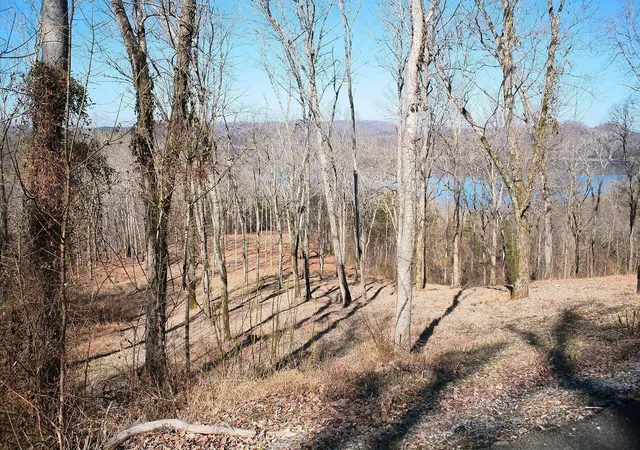Photo 2 of Land for sale at 190 Wilson Cir, Smithville, TN 37166 | MLS# 3006459 | Listing updated on 2025-10-01
