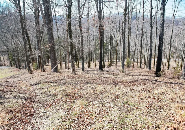Photo 4 of Land for sale at 190 Wilson Cir, Smithville, TN 37166 | MLS# 3006459 | Listing updated on 2025-10-01