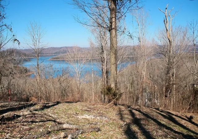 Photo 1 of Land for sale at 409 Maury Ln, Smithville, TN 37166 | MLS# 3006457 | Listing updated on 2025-10-01