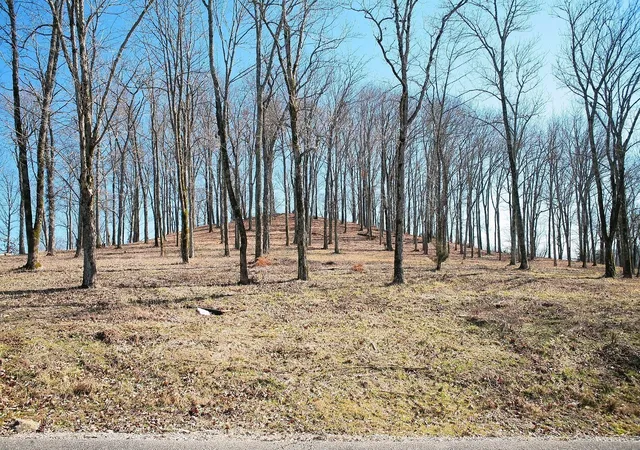 Photo 2 of Land for sale at 409 Maury Ln, Smithville, TN 37166 | MLS# 3006457 | Listing updated on 2025-10-01