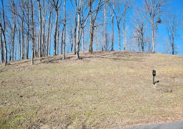 Photo 3 of Land for sale at 409 Maury Ln, Smithville, TN 37166 | MLS# 3006457 | Listing updated on 2025-10-01