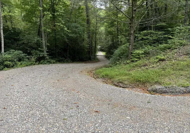 63rd image of 5475 Otto Williams Rd, Cosby, TN 37722 | MLS# 3003302