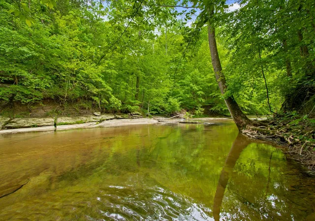 2nd image of 7749 Crow Cut Rd, Fairview, TN 37062 | MLS# 3007458