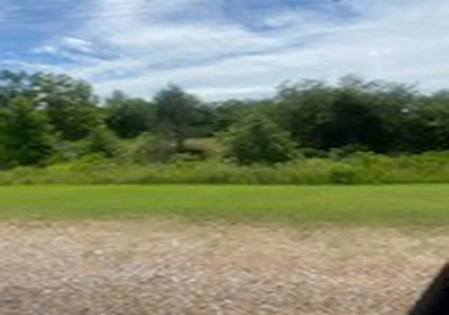 image of 17 Candlewood Dr, Saulsbury, TN 38067 | MLS# 3008920