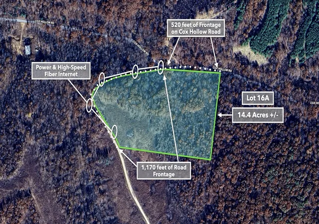 Photo 3 of Land for sale at 0 Cox Holw, Dover, TN 37058 | MLS# 3003789 | Listing updated on 2026-08-20