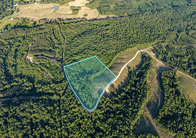 Photo 1 of Land for sale at 0 Cox Holw, Dover, TN 37058 | MLS# 3003789 | Listing updated on 2026-08-20