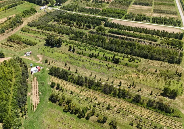 5th image of 770 Hill Rd, Mcminnville, TN 37110 | MLS# 3012248