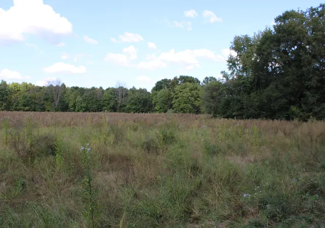 5th image of 0 Miller Rd, Mcminnville, TN 37110 | MLS# 3011230