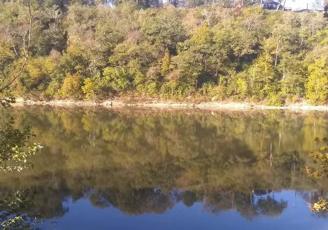 Photo 3 of Land for sale at 0 Pennington Bend Rd, Nashville, TN 37214 | MLS# 3006527 | Listing updated on 2026-05-29