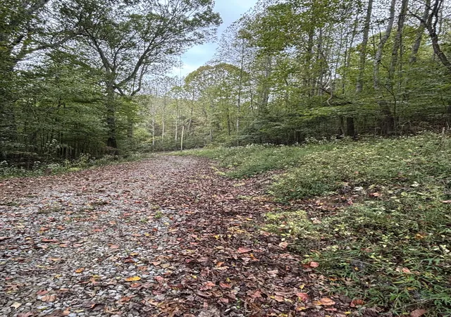 Photo 4 of Land for sale at 154 Plantation Dr, Manchester, TN 37355 | MLS# 3006710 | Listing updated on 2026-08-22