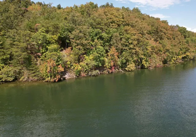 2nd image of 39 Waterside Way, Spring City, TN 37381 | MLS# 3229677